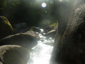 DSCN0047