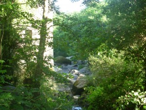 DSCN0050