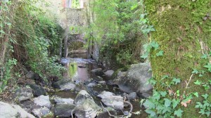 IMG_0681-1024x576