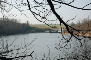 Photo 009