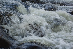 Photo 022
